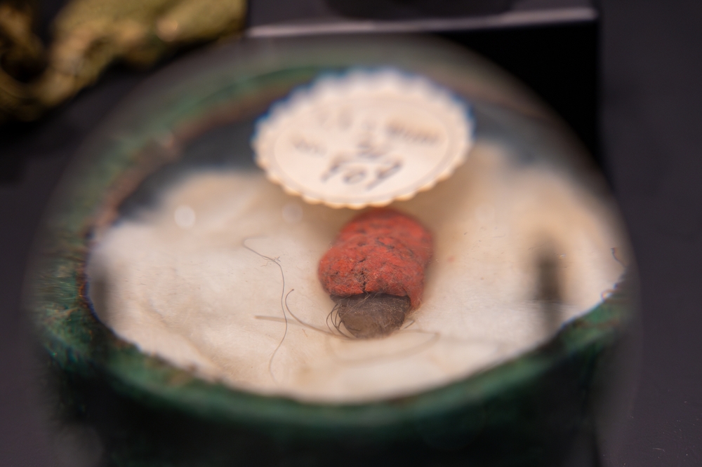 Sacred Relics A hair from Prophet Muhammad's beard in the Sacred Relics of Topkapi Palace.
